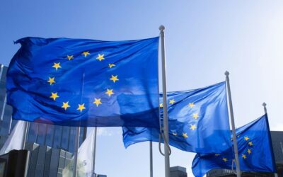 Wat betekent PPWR voor ondernemers in Nederland?