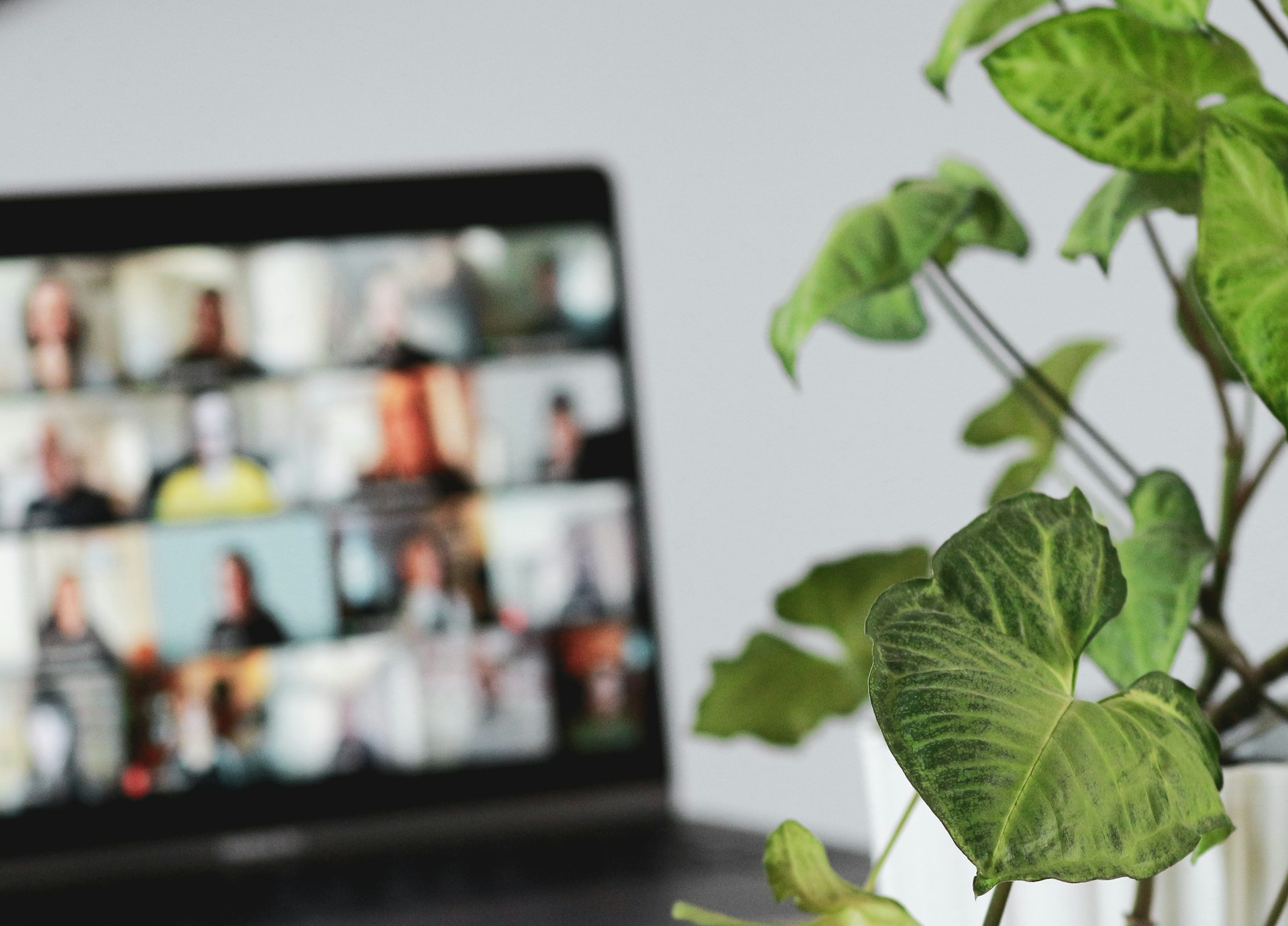 webinar over wet en regelgeving herbruikbare bekers en wegwerpplastic - cupstack
